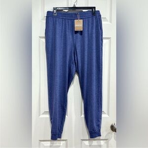 Patagonia Women's Large Seabrook Joggers Solstice Purple NWT Cozy Athletic